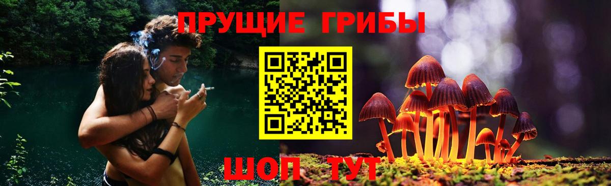 Галлюциногенные грибы Cubensis  Вход с VPN  Карпинск  Псилоцибиновые грибы Magic Shrooms 