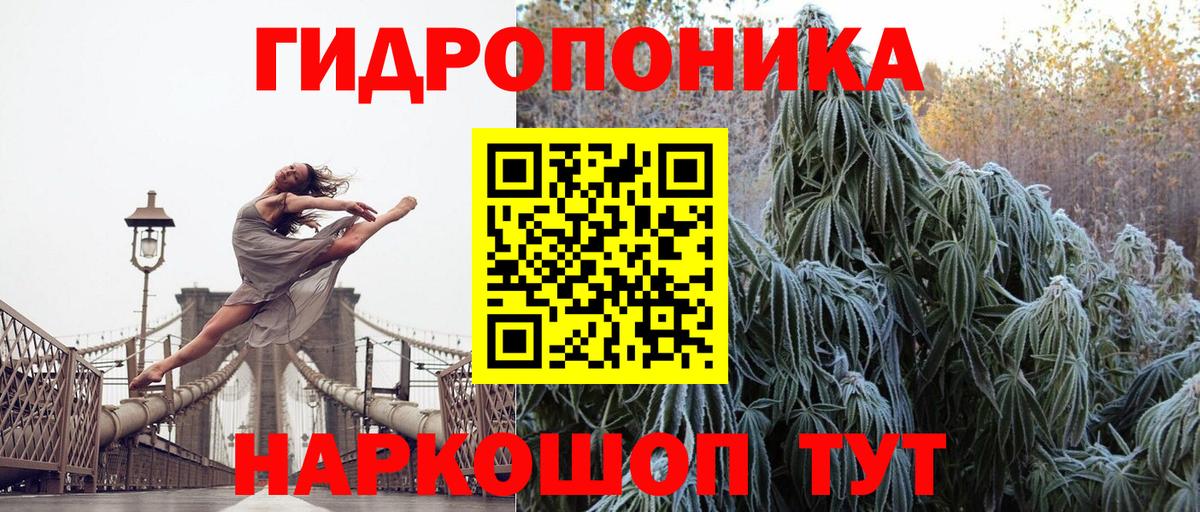 Конопля OG Kush Карпинск